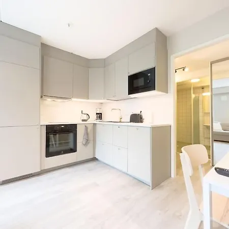 Saunallinen Ja Vastaremontoitu Moderni Huoneisto! Hyvat Loylyt! :) Apartment *